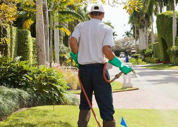 About Marcellus MI Pest Control